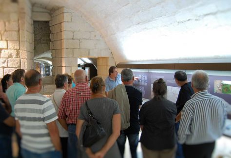 Visite guidée des collections